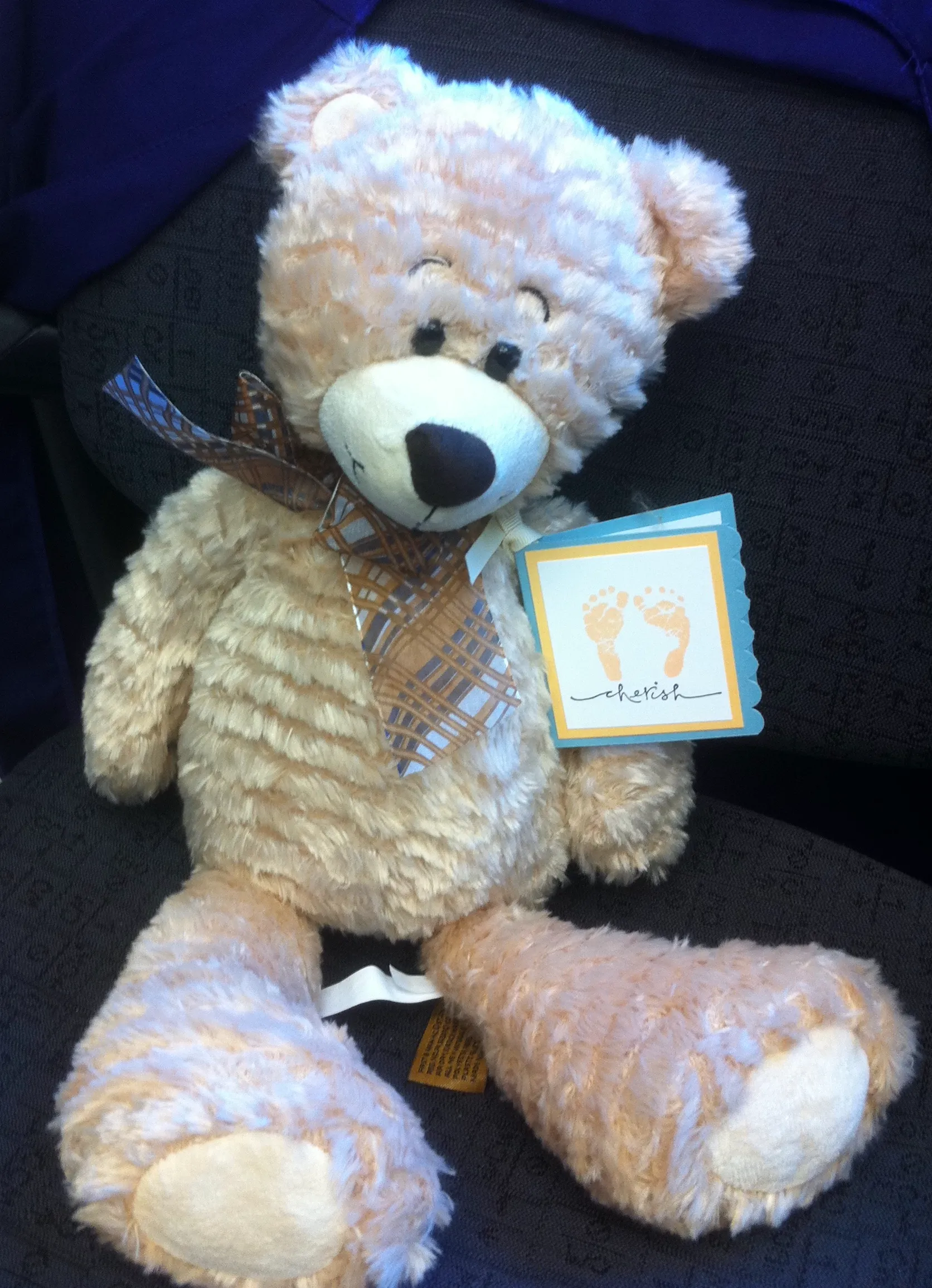 Single light teddy bear